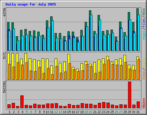 Daily usage for July 2025