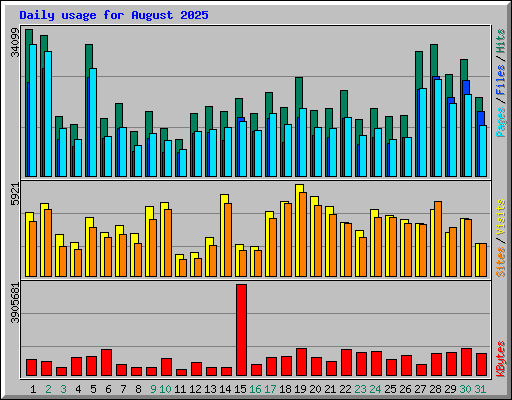 Daily usage for August 2025