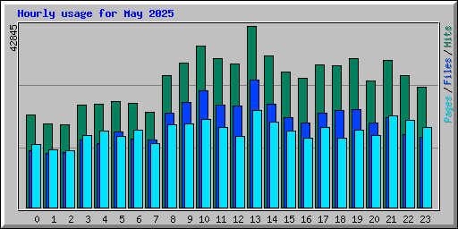 Hourly usage for May 2025