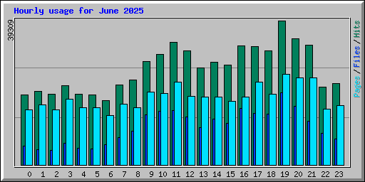 Hourly usage for June 2025