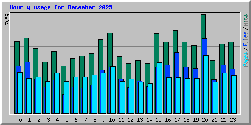 Hourly usage for December 2025