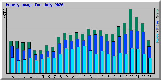Hourly usage for July 2026